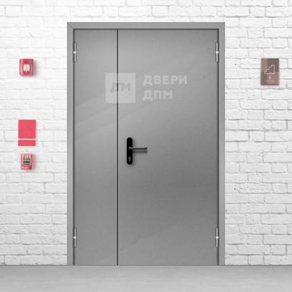 Противопожарная дверь EIW-15 полуторная 1200×2000 ДП-128